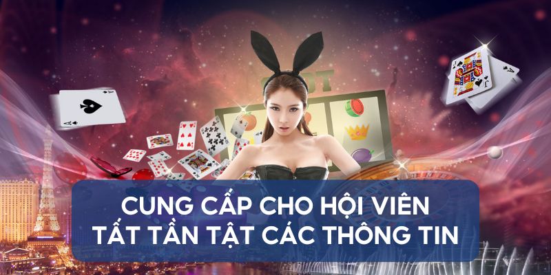 Cung cấp cho hội viên tất tần tật các thông tin